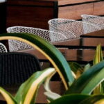 5100 Vanilla Noir - Abeo Design - Adelaide Stary City