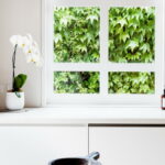 GeorgiaEzra_home_editorialset7.jpg