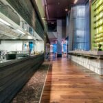 Royal_Beach_Hotel_4030_Oyster__2_.jpg