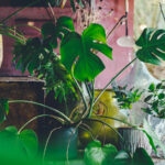 Eclectic 3. Complementary accessories