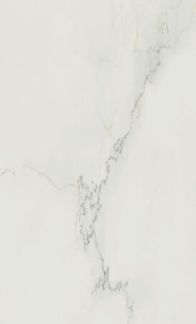501 501 Snowdrift