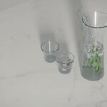 504 Lumena - top view