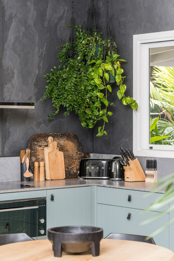 Modern caesarstone kitchen with green cabinetry, grey stone splashback, hanging plants, and concrete benchtops.
