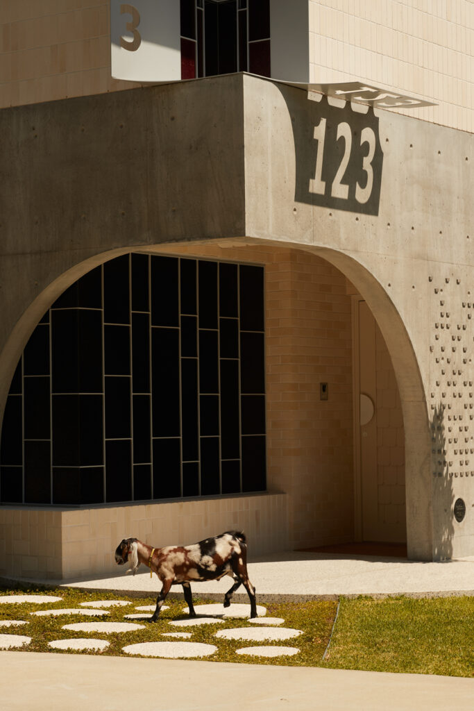 Exterior of 123 House with arched concrete facade, patterned glass windows and a goat walking across circular pavers, reflecting the home’s playful mid-century character.