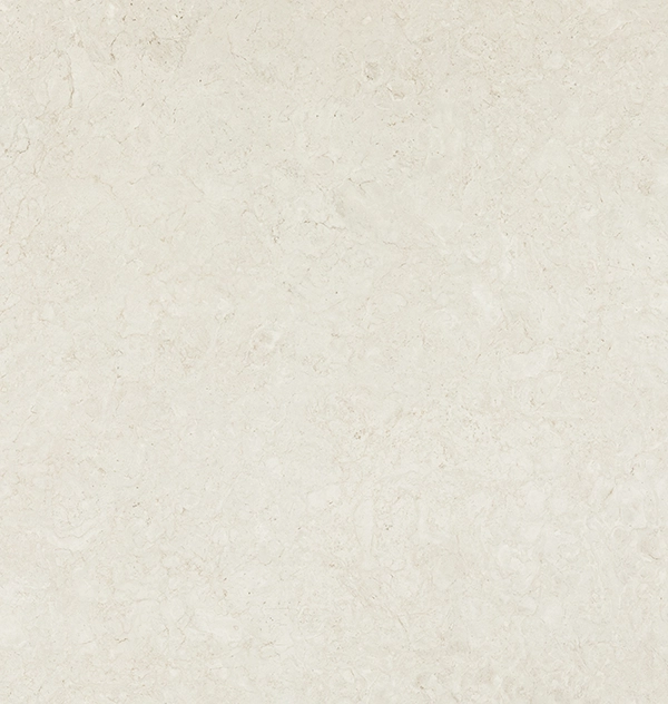 Caesarstoen Porcelain 545 Fossillia white surface