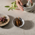 Caesarstone surface fossillia